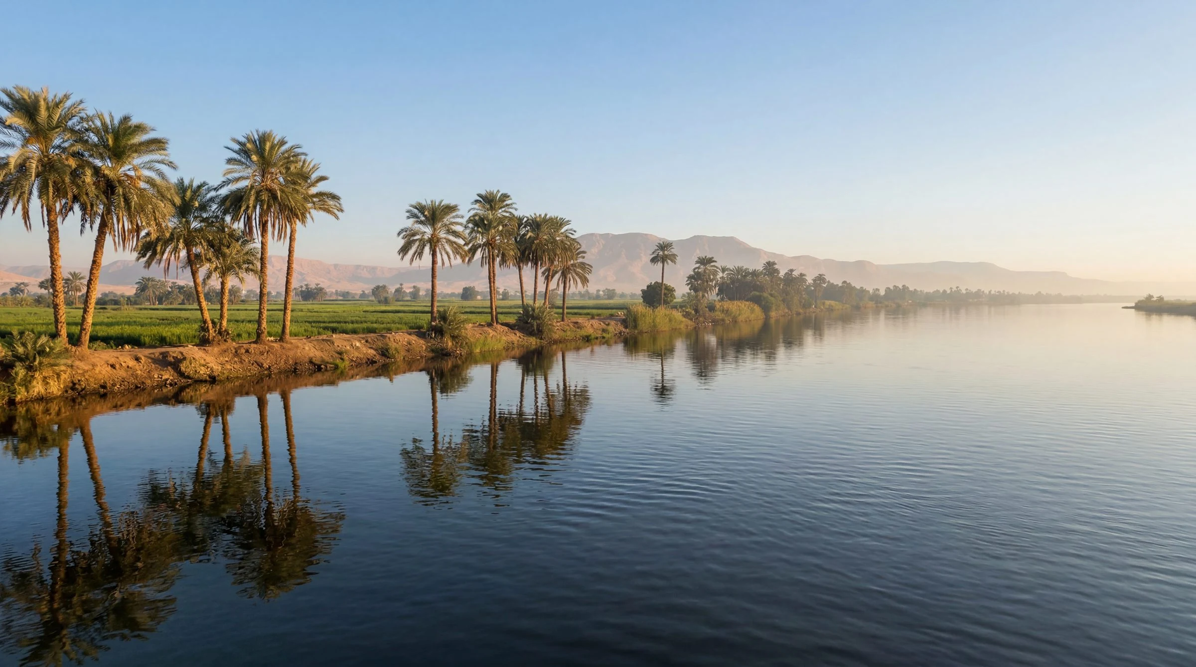 Date palms and green fields along the Nile at sunrise